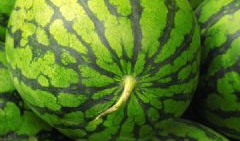 会长吃瓜爆料可靠吗,可信度揭秘